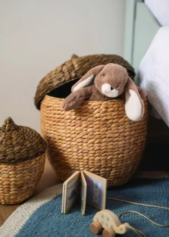 Acorn kori suuri luonnonväri