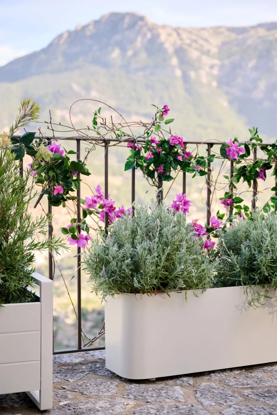 Ada kukkalaatikko hiekka