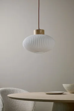 Amara kattovalaisin luonnonväri