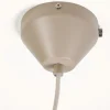 August kattovalaisin harmaanruskea