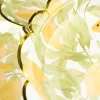 Citronella pahvilautanen 8kpl moniväri/keltainen