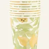 Citronella pahvimuki 8 kpl moniväri/keltainen