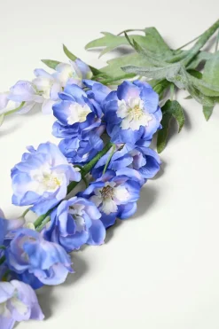 Delphinium L kukka sininen