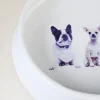 Dogs Koiran ruokakuppi valkoinen