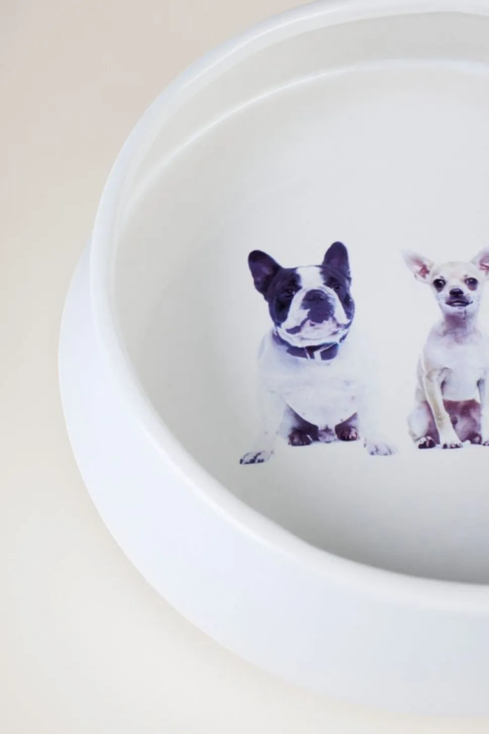 Dogs Koiran ruokakuppi valkoinen