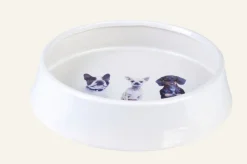 Dogs Koiran ruokakuppi valkoinen