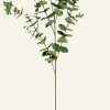 Eucalyptus extra big oksa vihreä