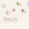 Flowers LED-valosarja moniväri/valkoinen