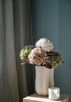 Hortensia kukka luonnonvalkoinen