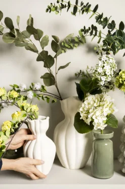 Hortensia kukka valkoinen