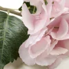 Hyndrangea S kukka roosa