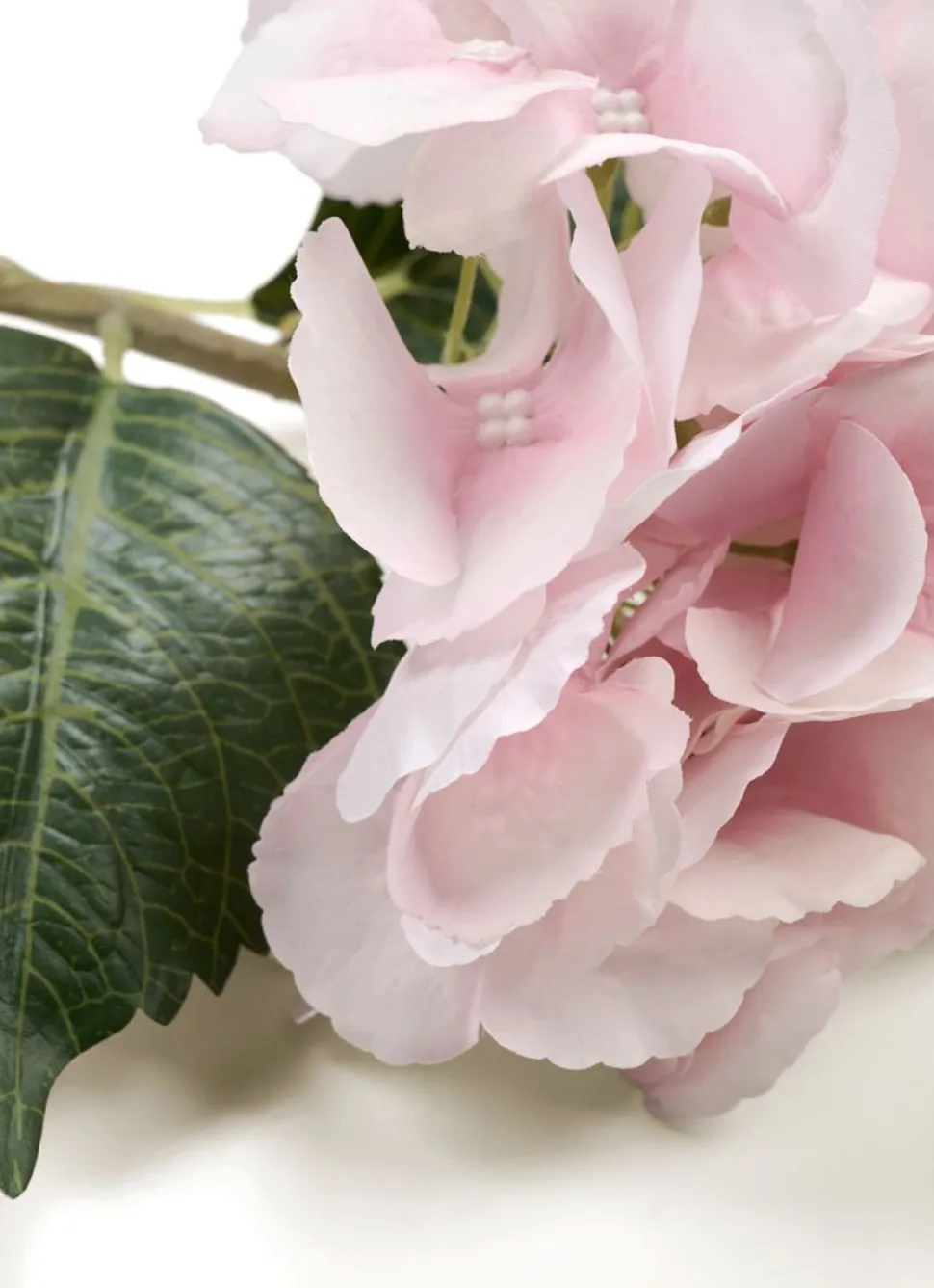 Hyndrangea S kukka roosa