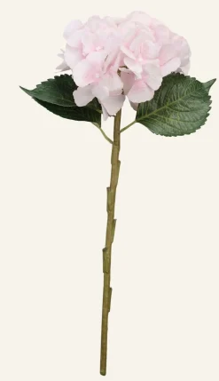 Hyndrangea S kukka roosa