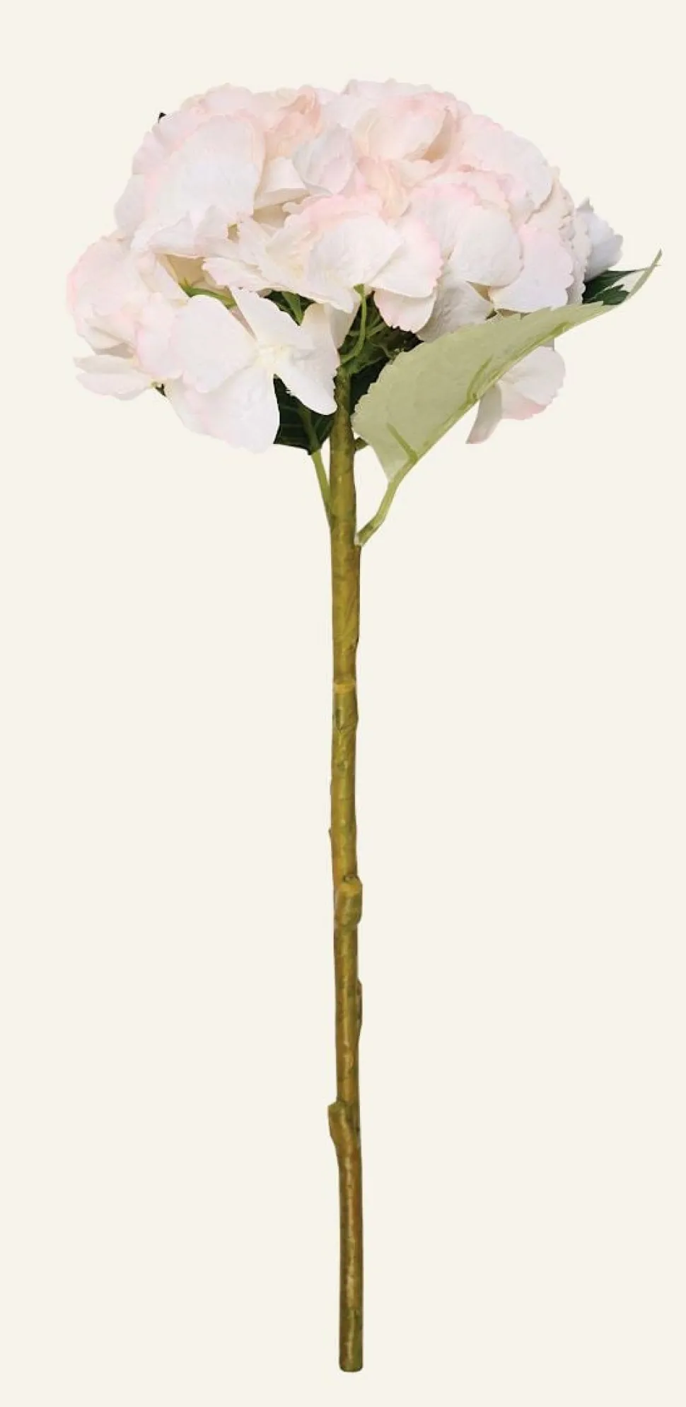 Hyndrangea S kukka vaaleanroosa