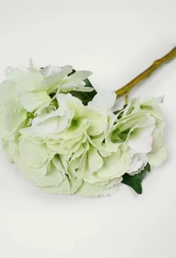 Hyndrangea S kukka vaaleanvihreä