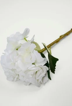 Hyndrangea S kukka valkoinen