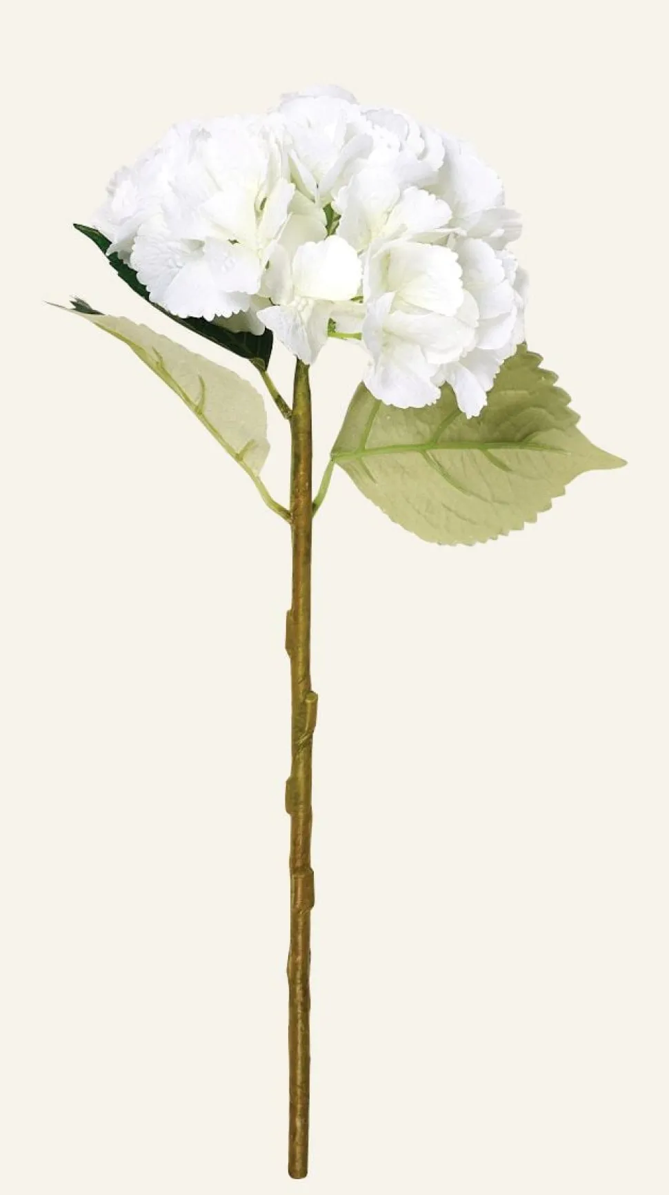 Hyndrangea S kukka valkoinen