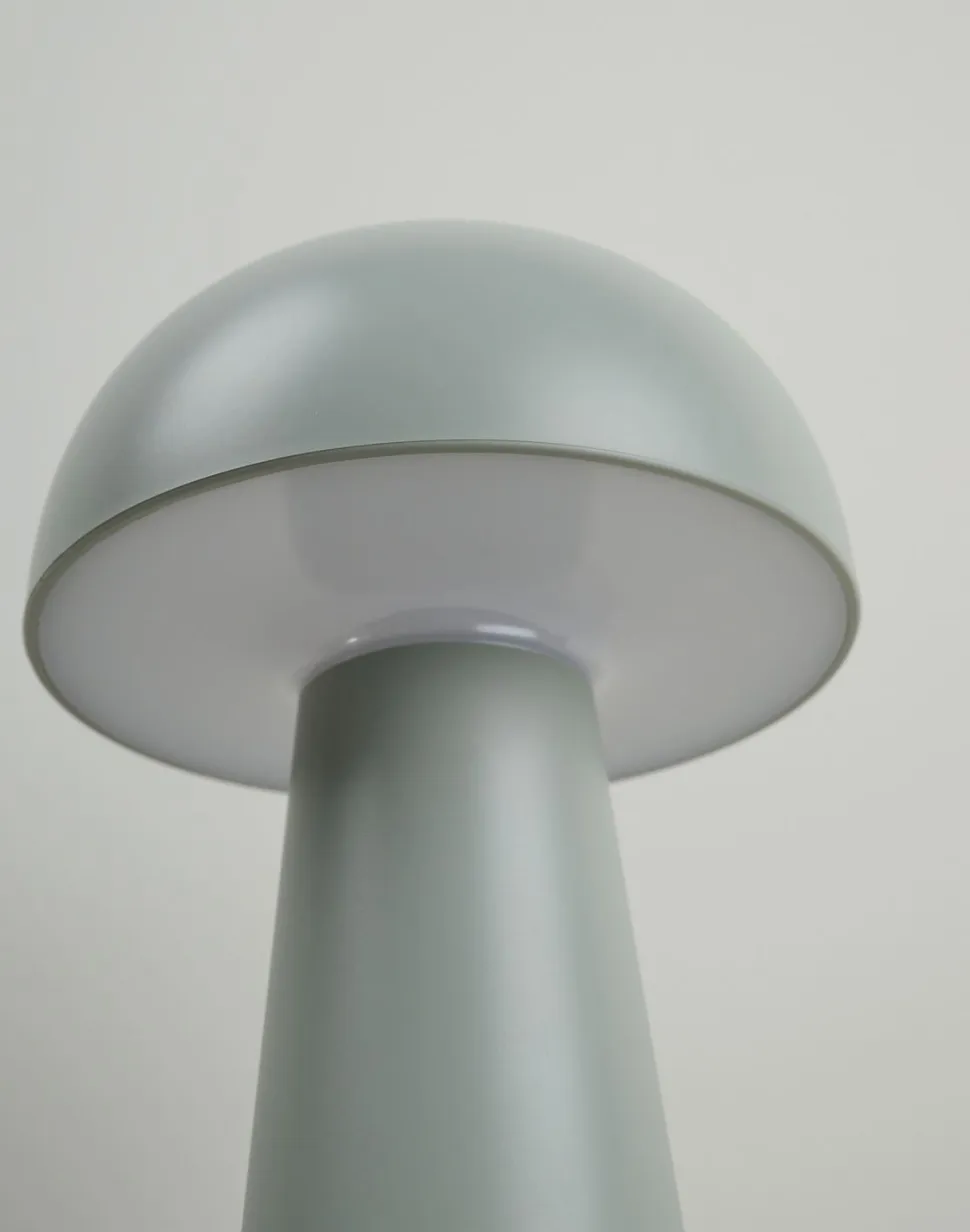 Isella LED-pöytälamppu meriheinää