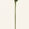 Peony RT kukka vaaleanroosa