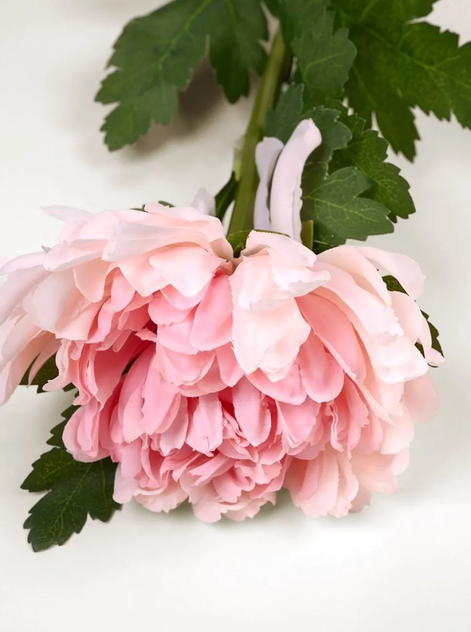 Peony RT kukka vaaleanroosa