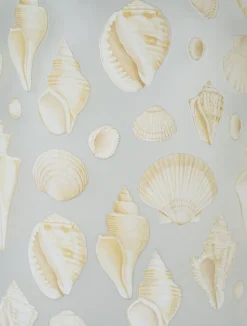 Shell kynttilälyhty moniväri